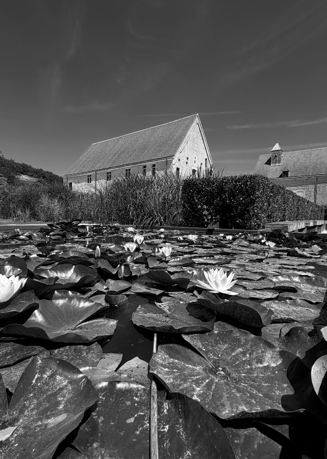 ABBAYE DE NOIRLAC 1