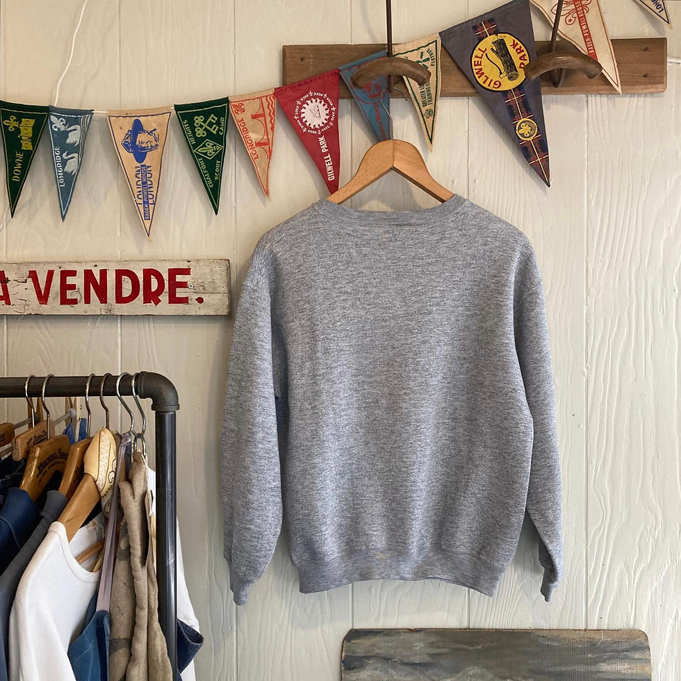 Thumbnail: Vintage USA 1980s Hope College Sweatshirt M 