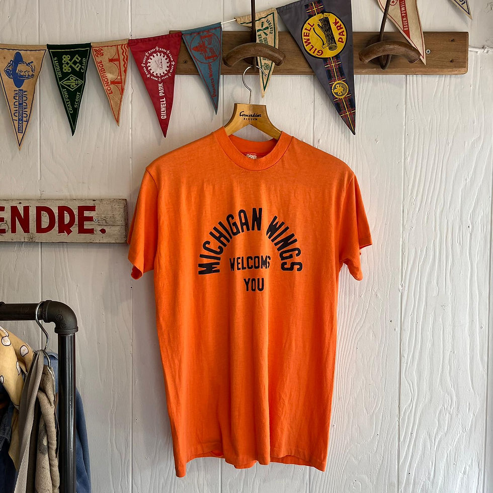 Vintage USA 1980s ‘Michigan Wings Welcomes You’ Tee- Shirt S M