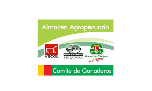 almacén.jpg