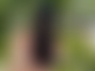 iPhone 16 Kamera Tuşu Arızaları: Su ve Darbeye