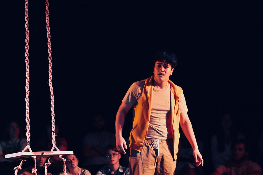 63_THE SWING_TeRakau_photo.AnetaPond.jpeg