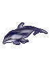 カマイルカ.png