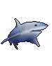 ホオジロザメ.png