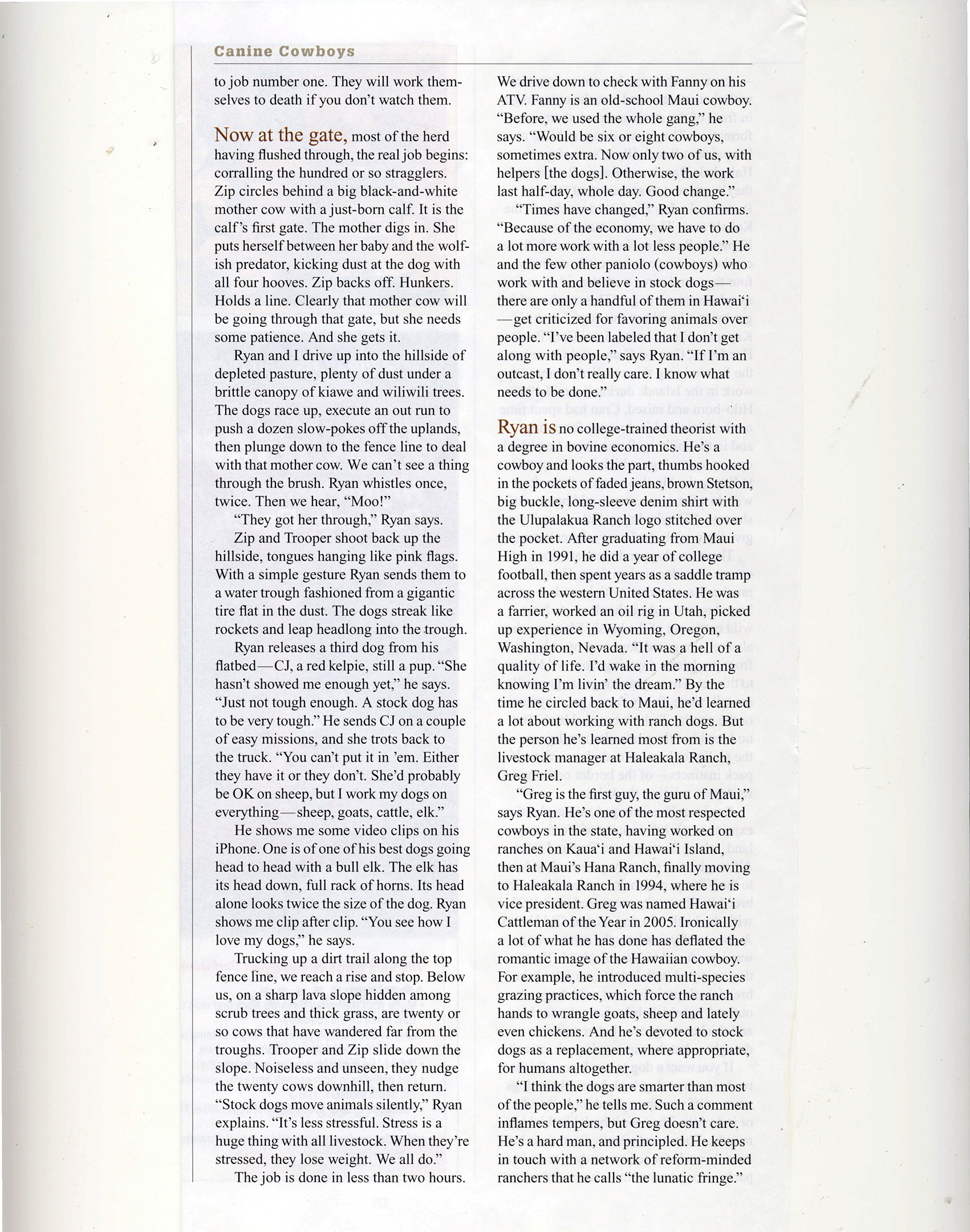 Ranch Dogs_Page_4