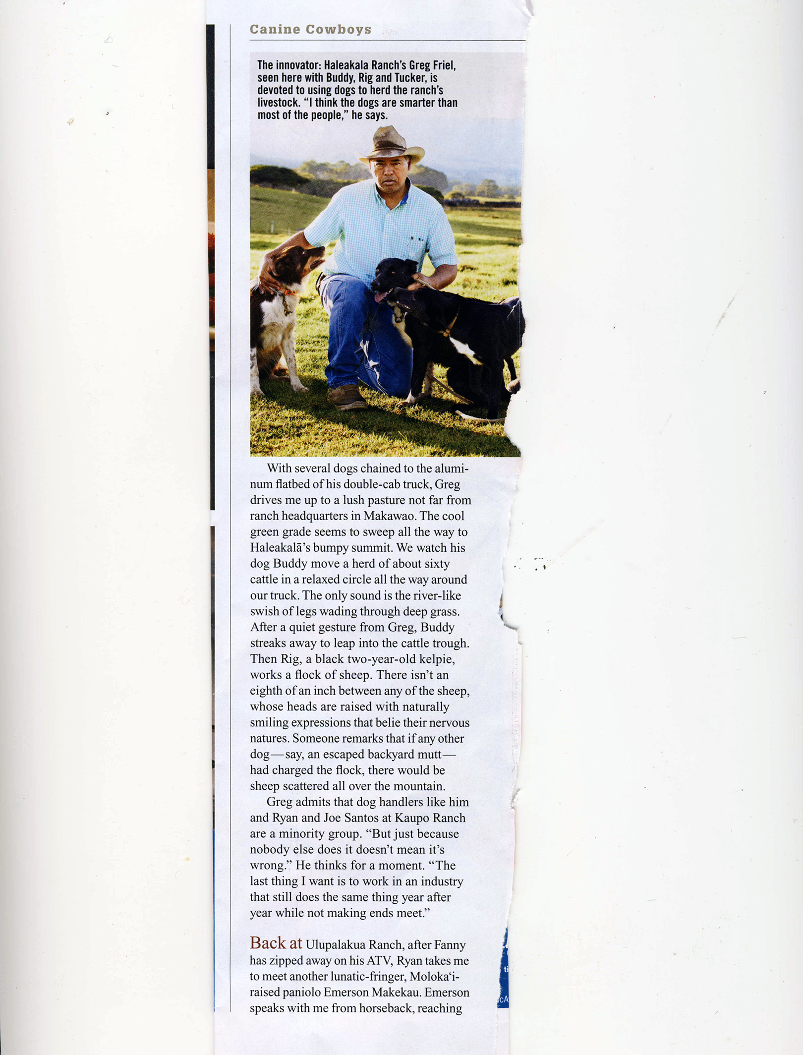 Ranch Dogs_Page_5