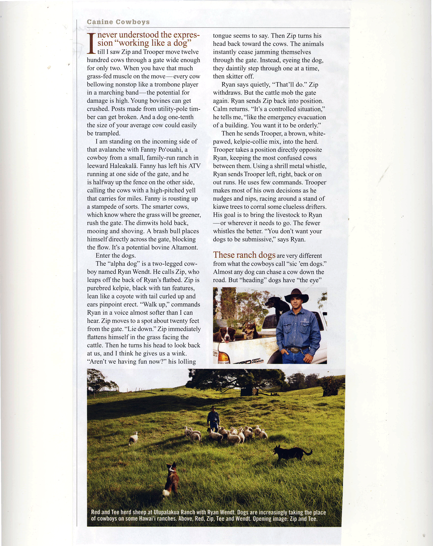 Ranch Dogs_Page_2