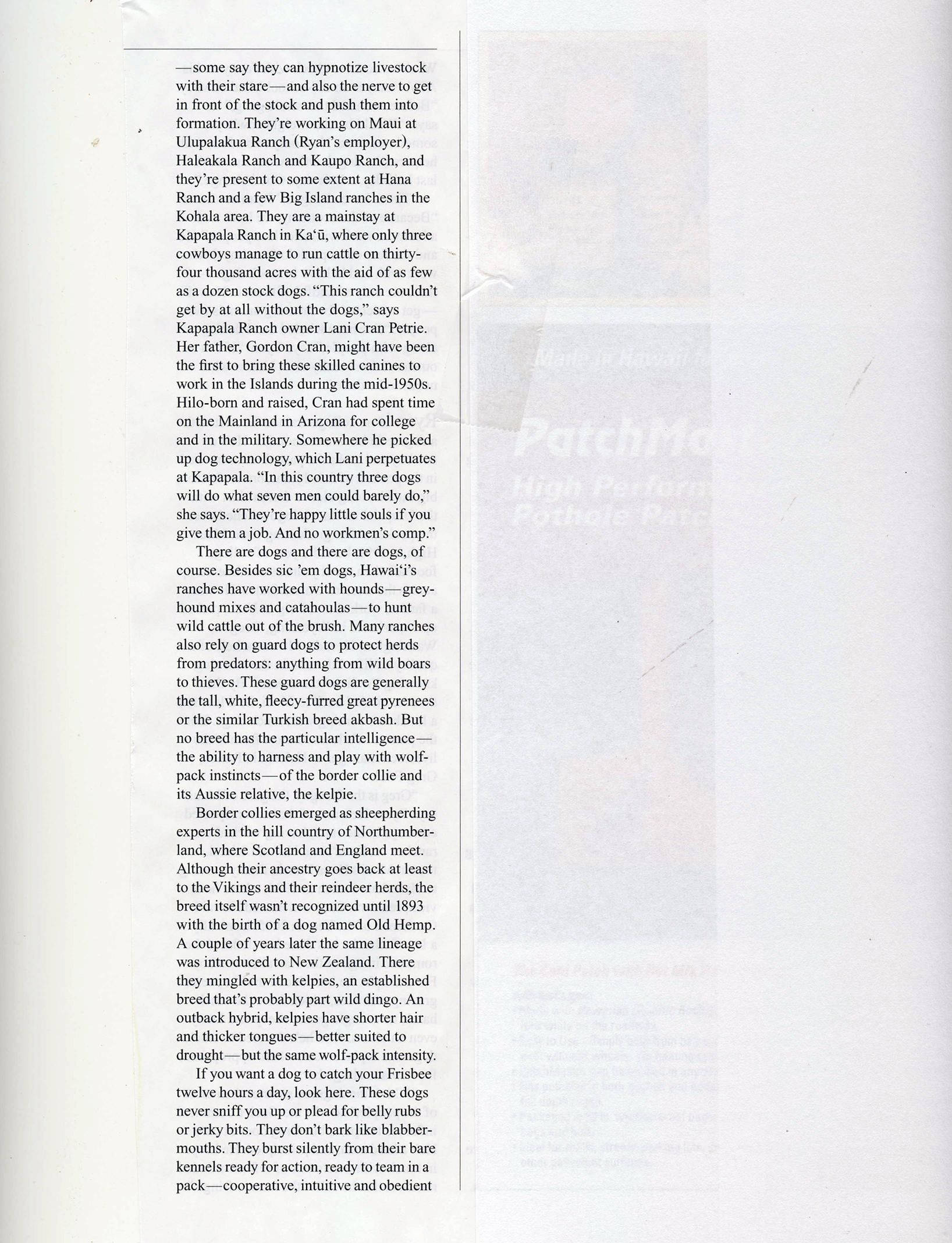 Ranch Dogs_Page_3