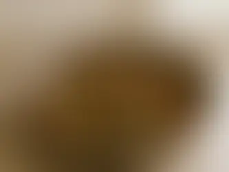 סלט פטריות חם מוקפץ עם בצל מקורמל ורוטב בלסמי