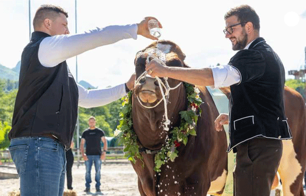 Bericht10_05.gif