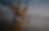 Site.png