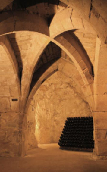 A wine cellar filled with lots of bottles
