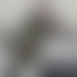 Launch Date Announced!