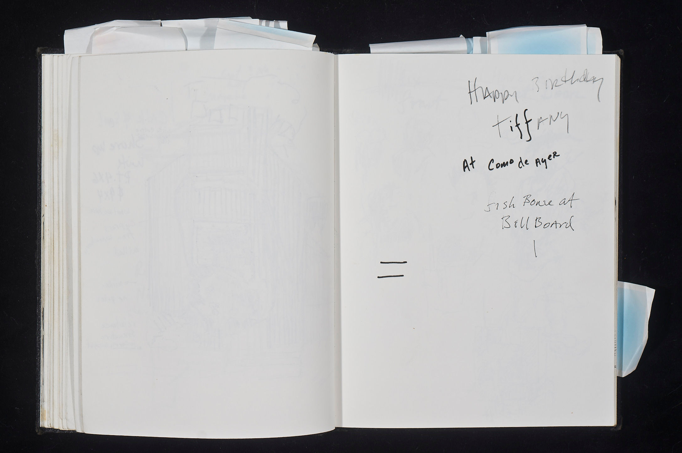 Sketch Book 81 Page 38