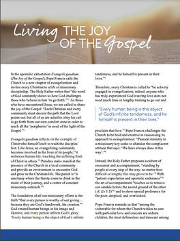 Living the Joy of the Gospel.png