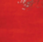 About Us redbkg.jpg