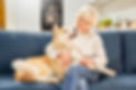 shutterstock_1729075693.jpg