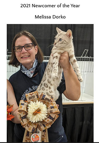 TICA Award Winning Cats kittens Bengals