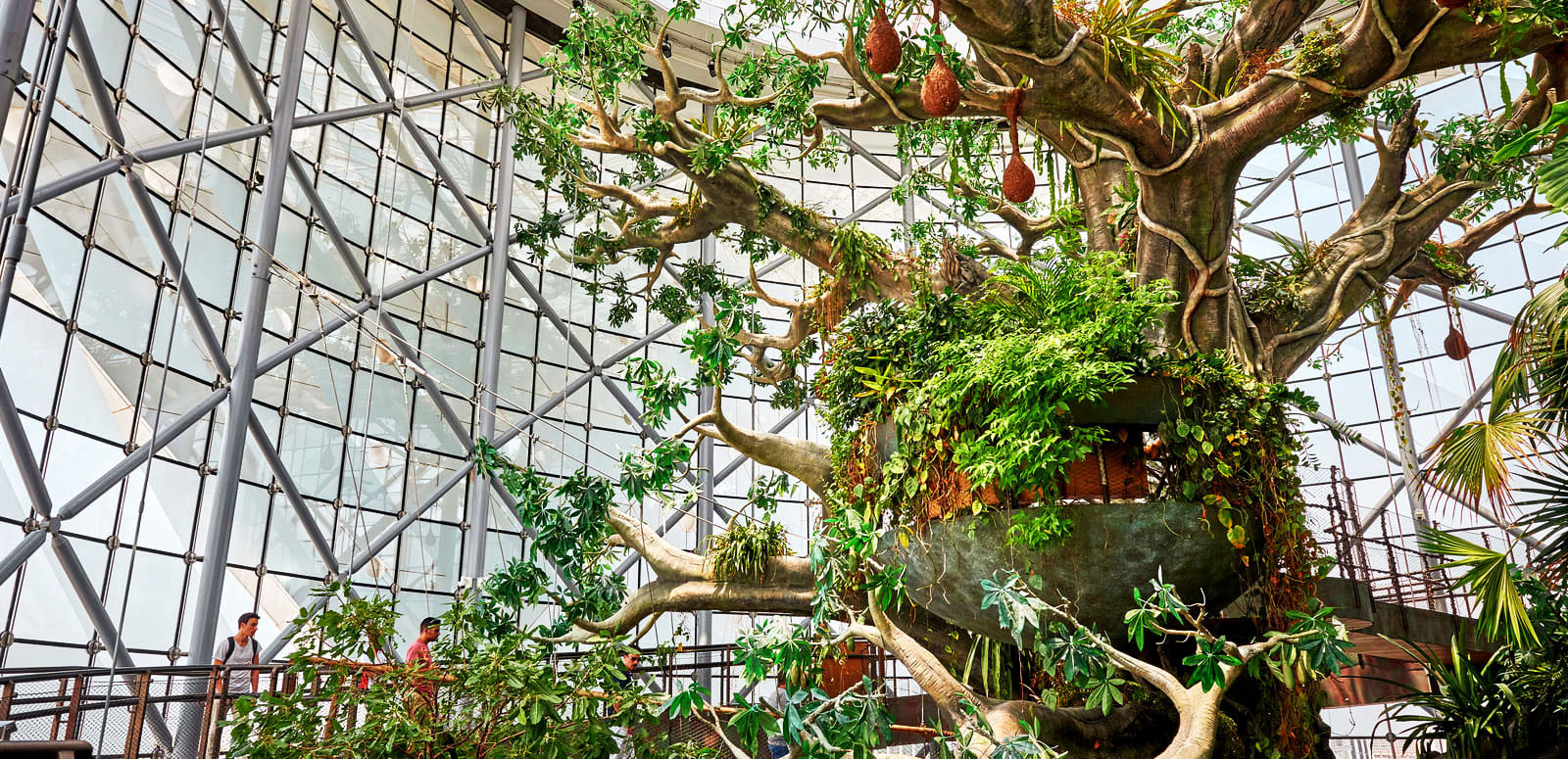 The Green Planet Dubai