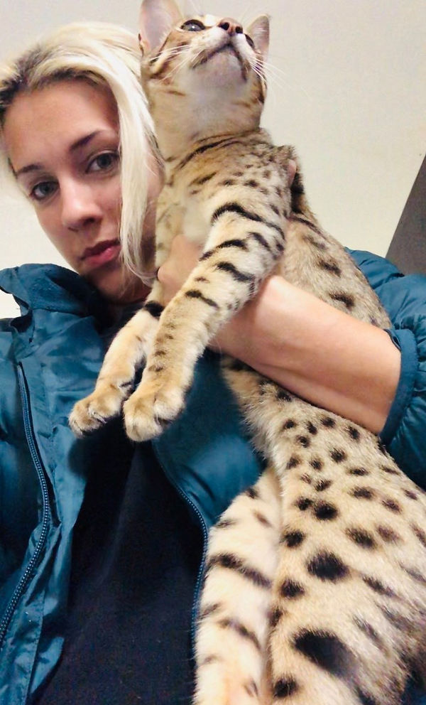 Khari as a kitten 2.jpg