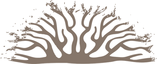 BCC_graphic2_edited_edited.png