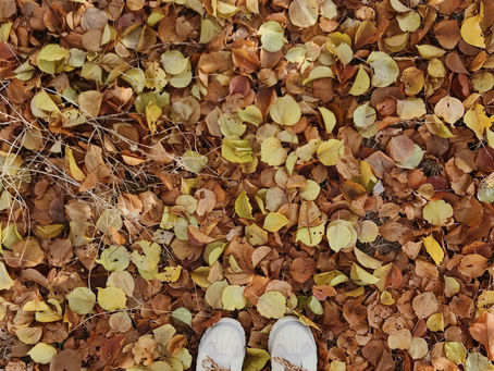 The Cold Seasons and Immunity