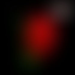 The Doctrines of Grace. A Beautiful Truth.