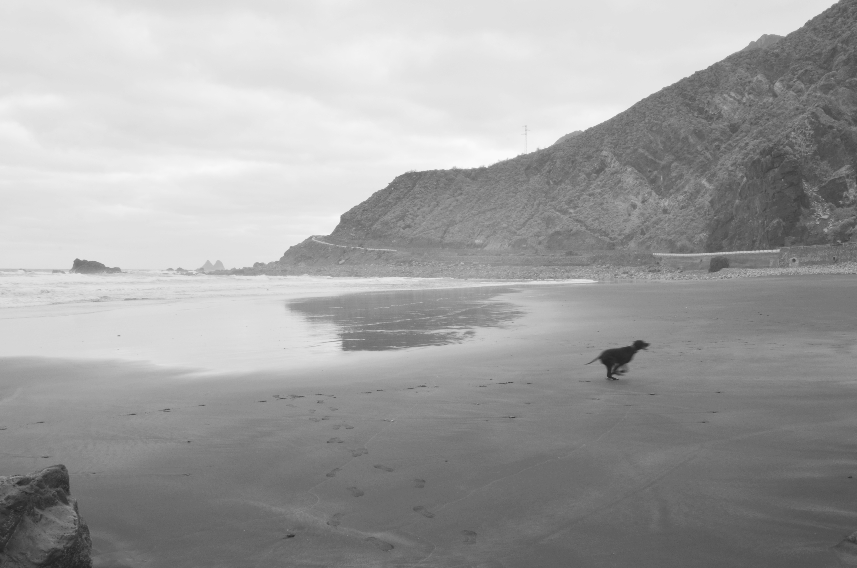 DSC_1231_edited.jpg