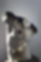 Thumbnail: Fortis Fortuna Adiuvat