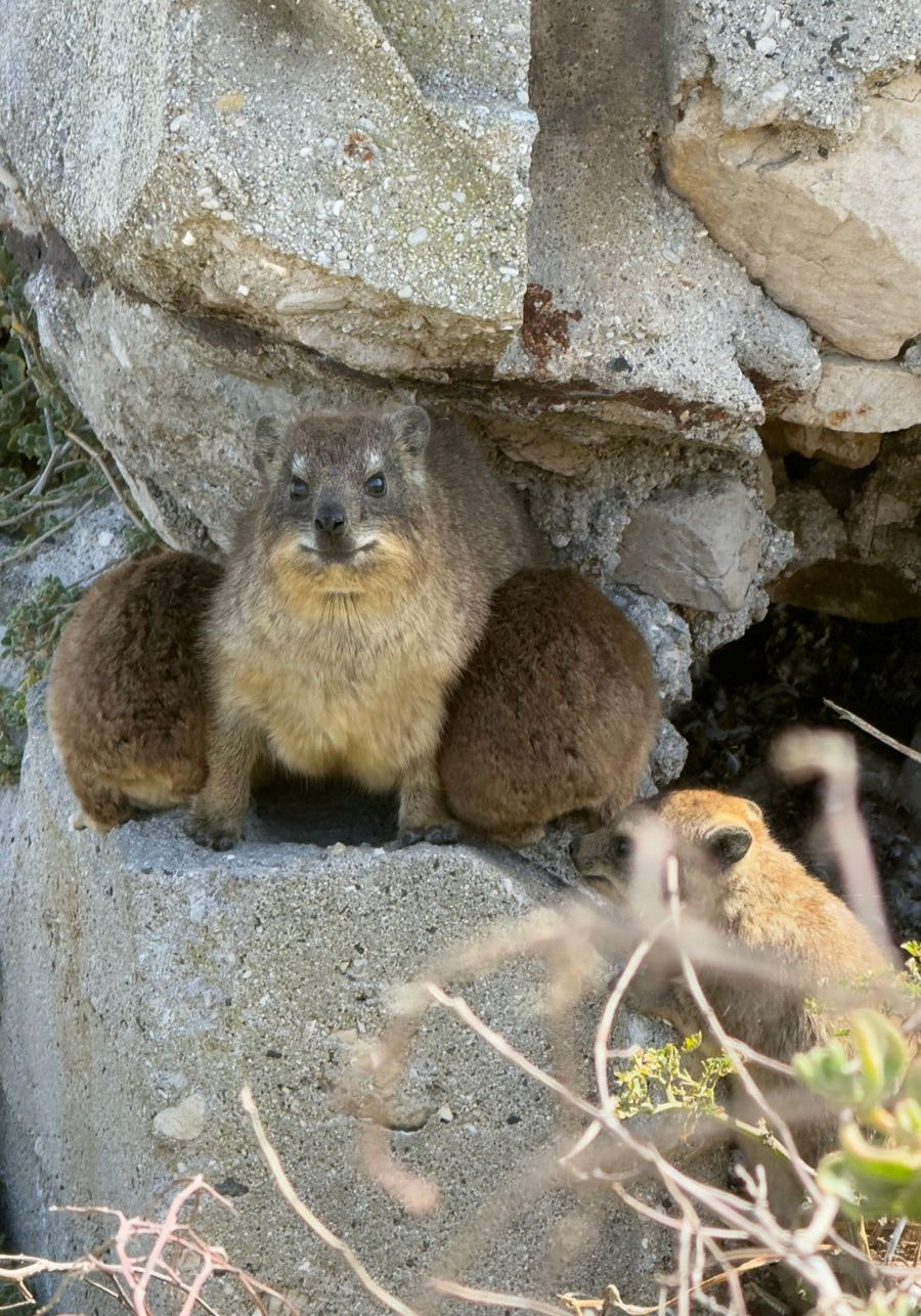 Some others residents of Stony Point