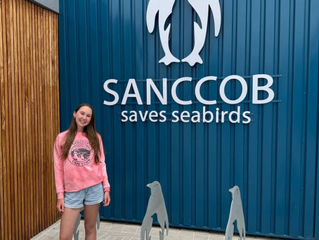 The Coast is Not Ours Alone