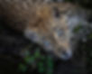 image2 (3).jpeg