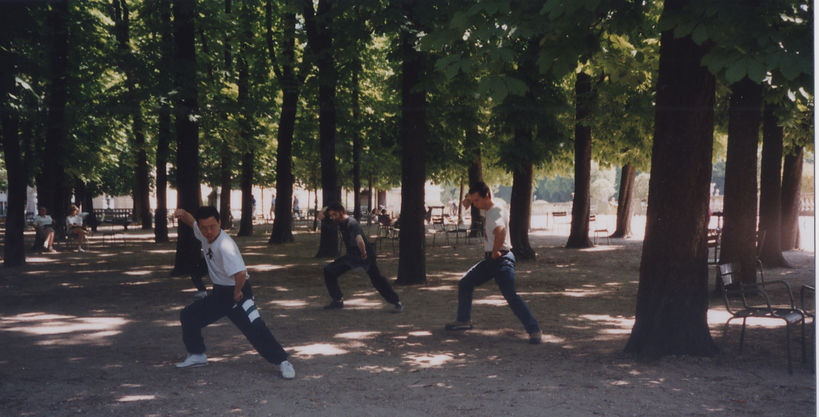 entrainement avec maître Wang Fengming au jardin du Luxembourg.jpg