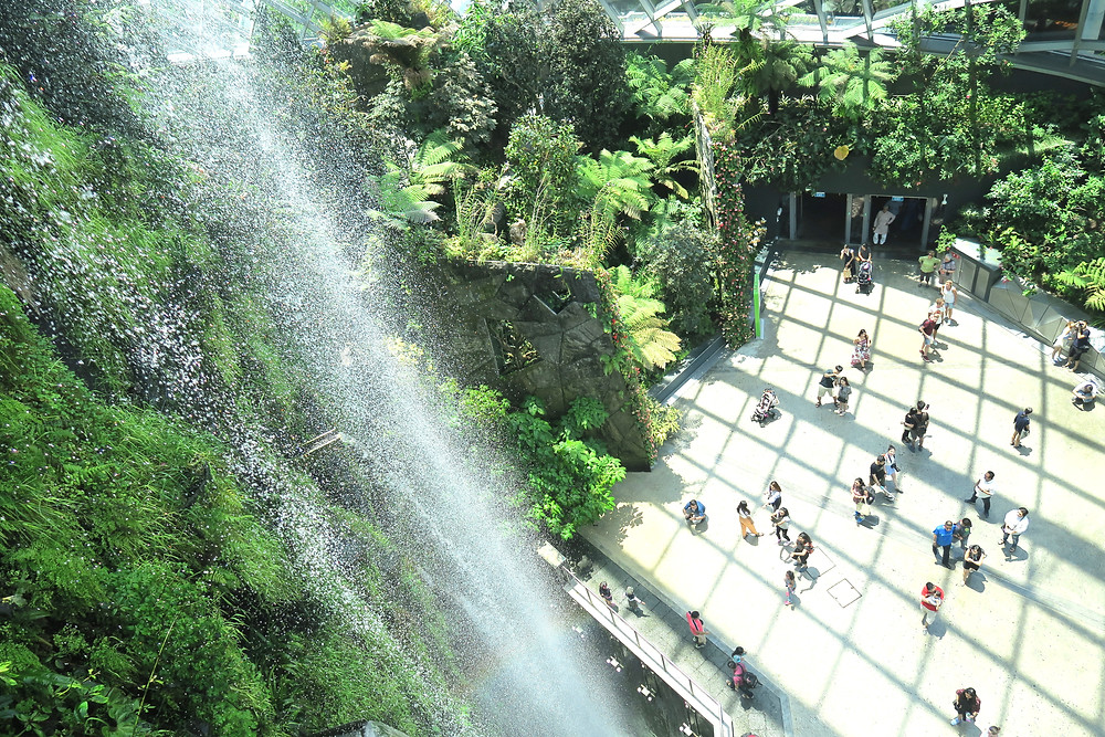 Cloud Forest at Gardens by the Bay