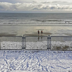 52. Sea Snow - Colette O_Hora