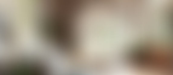 modern-living-room-decorative-roof-mount