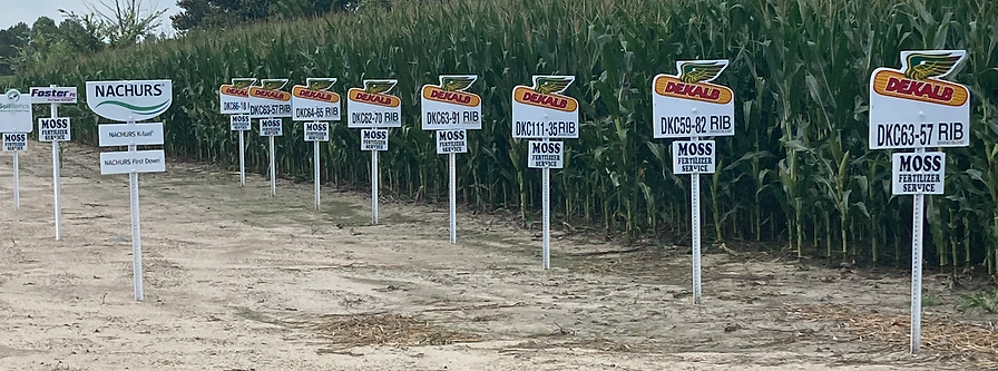 Moss Test Plot