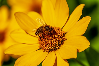 OGV - über uns (1).png