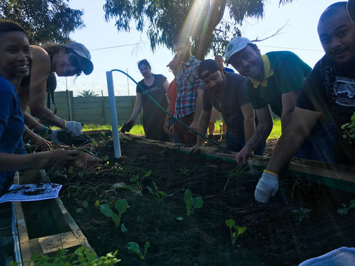 Nelson Mandela Day 2018 | Corporate & Public Volunteer Event Retrospective
