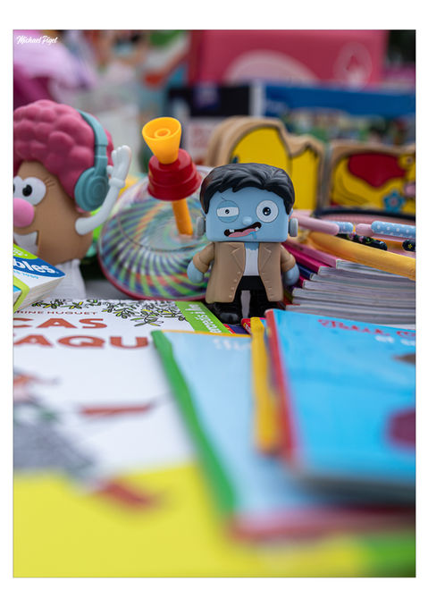 Michaël Piget photographe professionnel
Villandry Savonnières Langeais Lignières Vallères Ballan Tours Métropole Loire à Vélo
Portrait Mariage Abstrait Couple Artisan Canon 6DII
Association Apeev Brocante