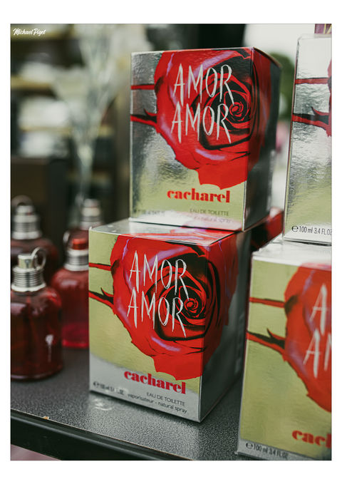 Michaël Piget photographe professionnel
Villandry Savonnières Langeais Lignières Vallères Ballan Tours Métropole Loire à Vélo
Portrait Mariage Abstrait Couple Artisan Canon 6DII
Association Apeev Brocante