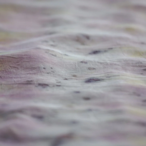 Earth Tones Collection