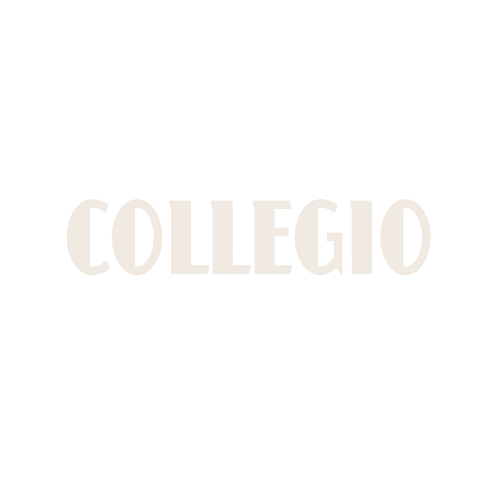 Collegio Full Logo Grey.png