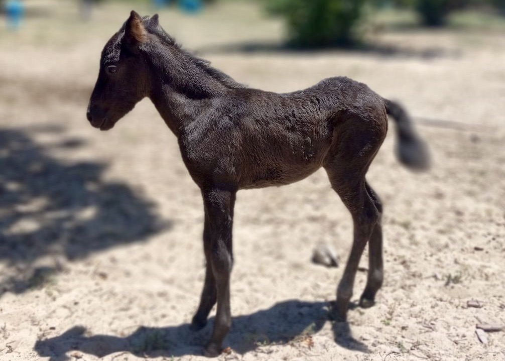 Writer: Bianca Malavolti 