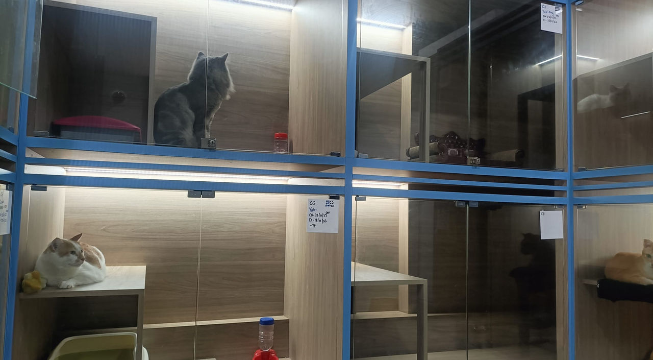 cabinet boarding