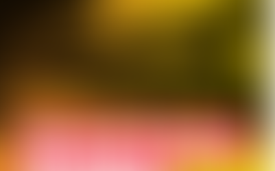 Free DC Ward 6 Team Hybrid Meeting: Thursday, November 6