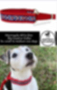 Thumbnail: Martingale: Silver Stars Red