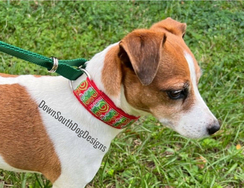 Thumbnail: BigDog Martingale: Green & Red Swirl