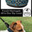 Thumbnail: BD Martingale: Turquoise and Gold