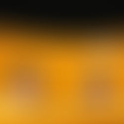 BIG SPECIAL, GANS, GOOD HEALTH GOOD WEALTH